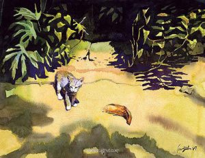 Sujith VT - Watercolor CAT