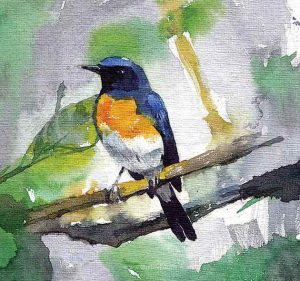 Sujith VT - Watercolor The Bird